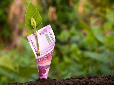 Investment Growth
